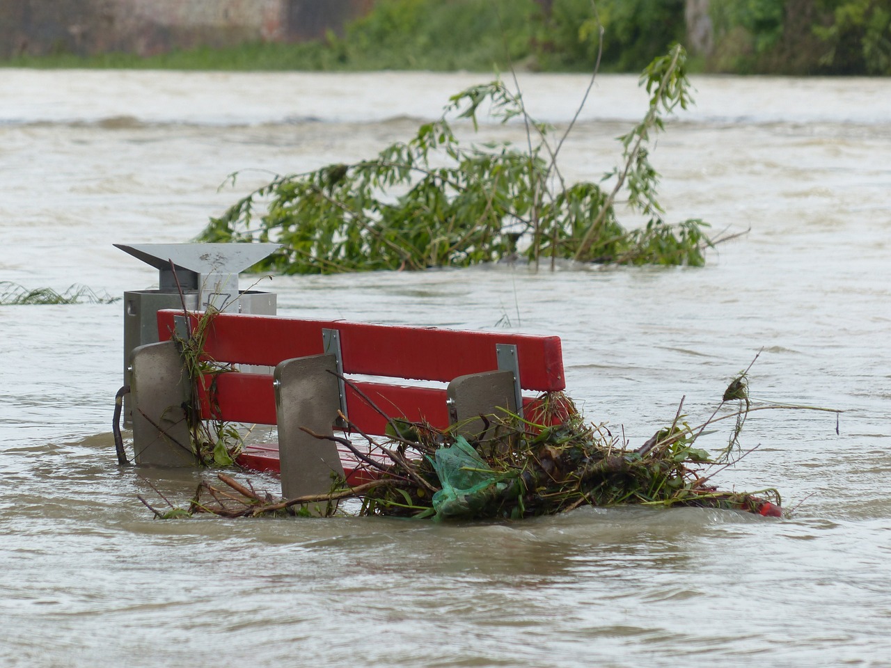 The Role of Health Professionals During a Disaster